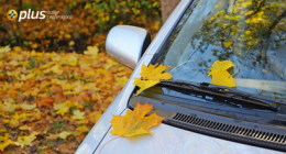 Consejos para proteger la pintura de tu automóvil en otoño